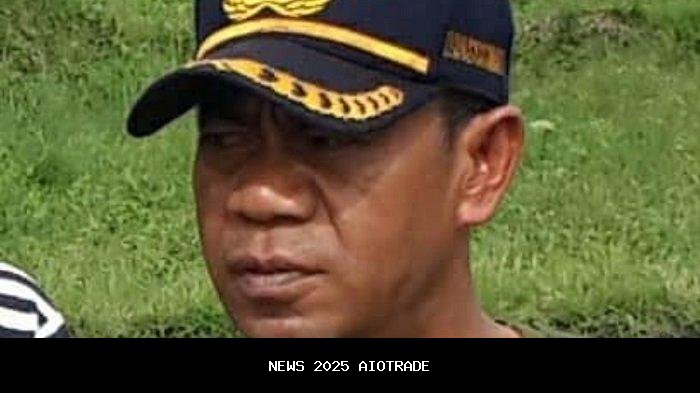 InsyaAllah, Pabrik Getah Pinus Siap Berdiri di Aceh Timur