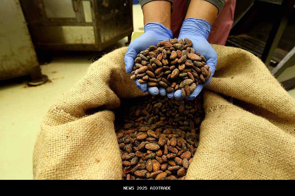 Krisis Pasokan Kakao, Pabrik Lokal Tumbang