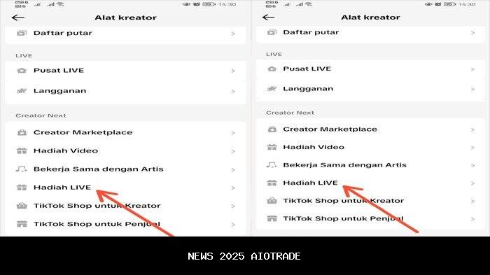 Fitur Baru TikTok: Peluang Penghasilan, Syarat Aktifkan untuk Dapat Cuan
