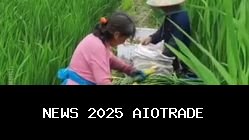 Panen Rebung Air: Tanaman Rawa Berharga Tinggi sebagai Sumber Pangan