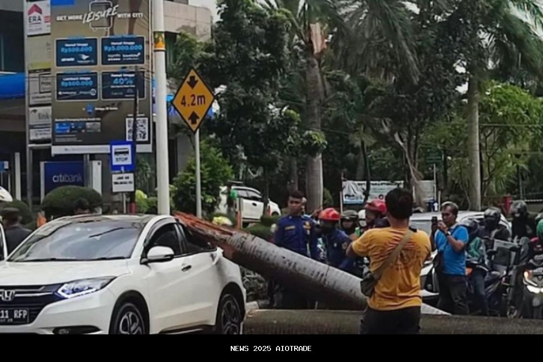 Kecelakaan Mobil Lexus Tertimpa Pohon di Pondok Indah, Tempat Berdarah 2021