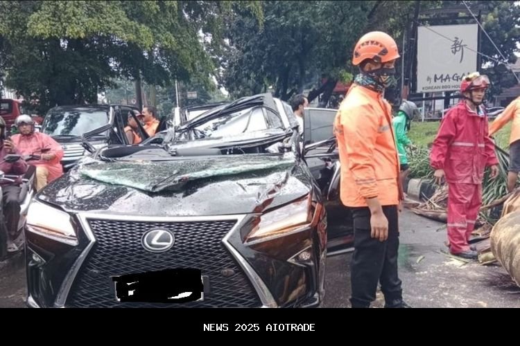 Mobil Mewah Tertimpa Pohon, Waspada Pohon Tumbang Saat Hujan Lebat