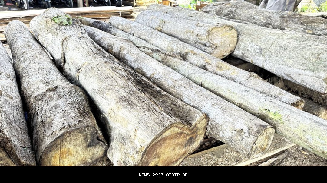 Indonesia Tolak Bantuan Asing, Ini Komentar Ahli UMY