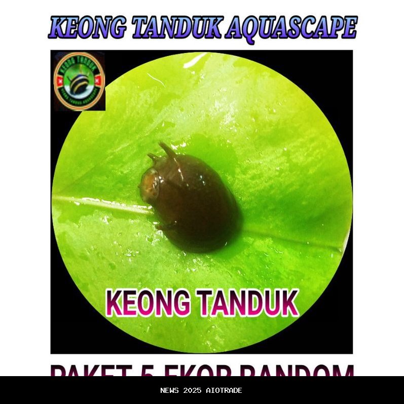 Ikan Pembersih Alga Terbaik untuk Aquascape Sehat dan Menarik