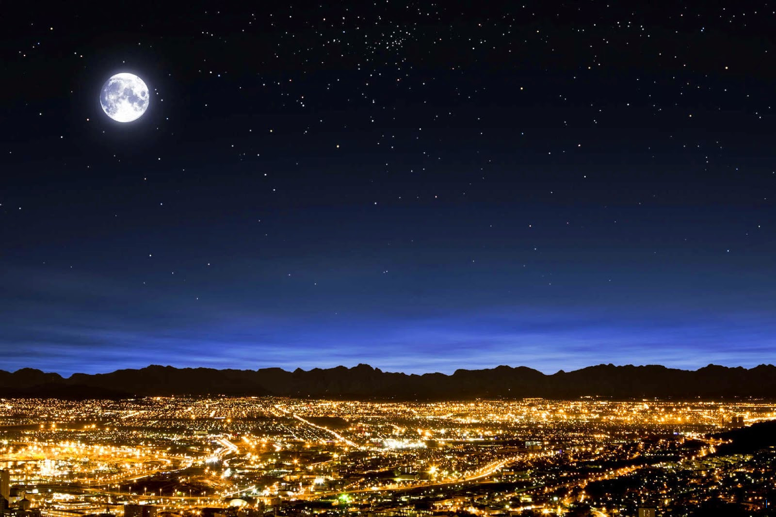 Malam Ini! Prediksi Manchester United vs Brighton Sabtu 25 Oktober