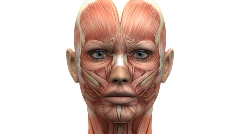 Kepala PEMA Beri Dukungan Pengembangan Investasi di Aceh Timur kepada Bupati