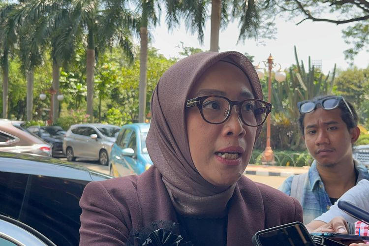 Proyek PSEL Tidak Gunakan APBN, Danantara Cari Investor Baru