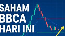 Saham BBCA Turun Hari Ini, Ini Penyebab Investor Jual dan Peluang Pemulihan di Sesi 2
