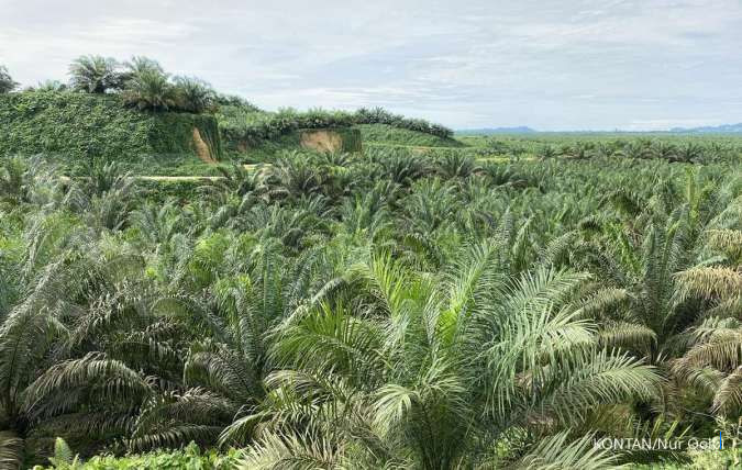 IEU-CEPA & ICA-CEPA Ditandatangani, Dorong Kinerja Emiten Ekspor, Ini Rekomendasi Sahamnya