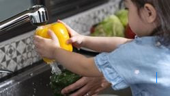 Takut Telur Cacing? Ini Cara Bersihkan Sayuran dengan Cuka dan Garam