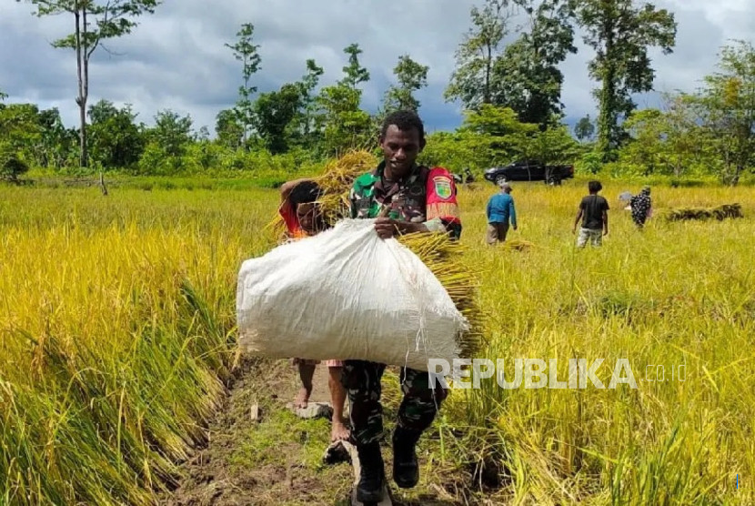 Hari Tani Nasional: Alih Fungsi Lahan dan Regenerasi Jadi Tantangan Besar Pertanian