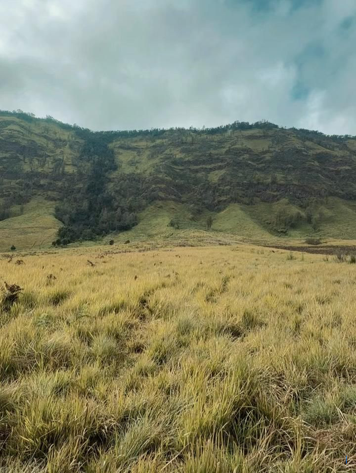 8 Potret Dara Arafah Berlibur Santai di Savana Bromo