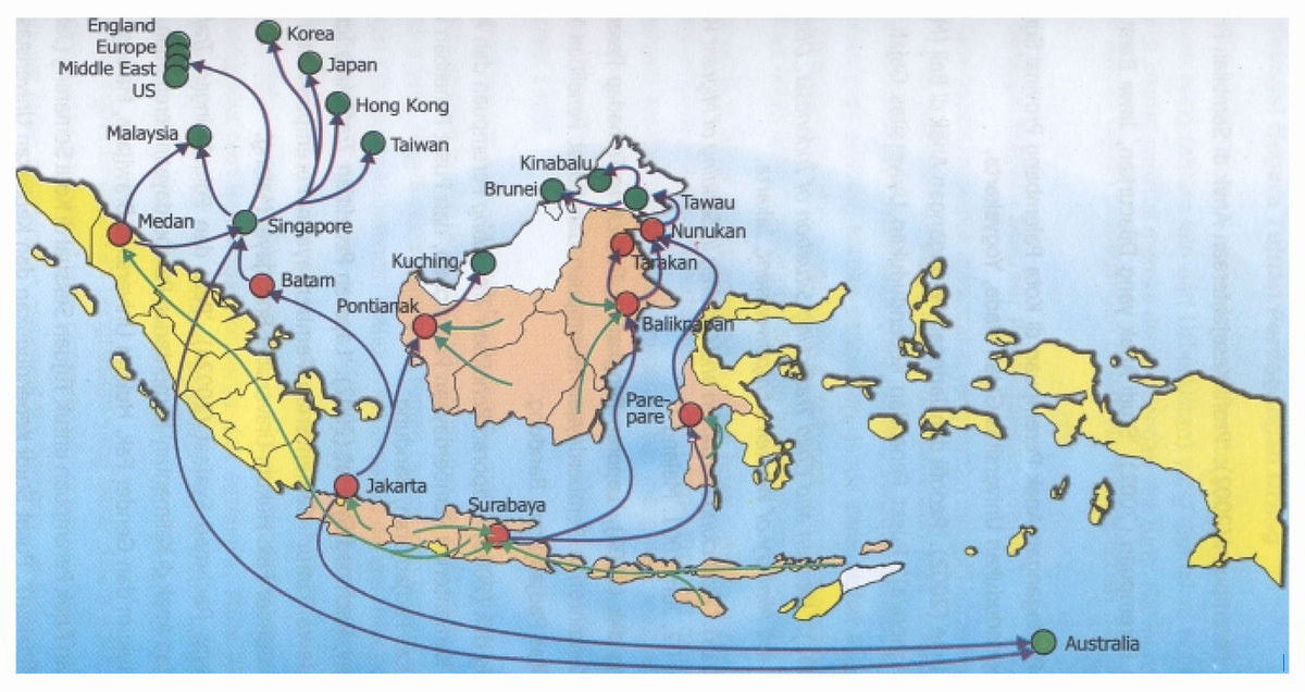 Leverkusen Kuat di Jalur Eropa, Stuttgart Tampil Tangguh di Bundesliga