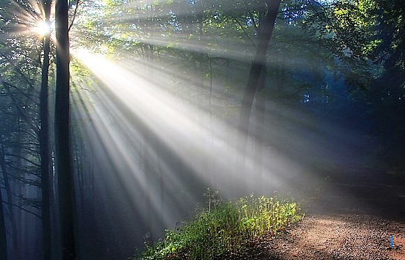 Cahaya Terang di Malam Hari Ancam Kesehatan Jantung, Studi Baru Ungkap Bahaya Tersembunyi