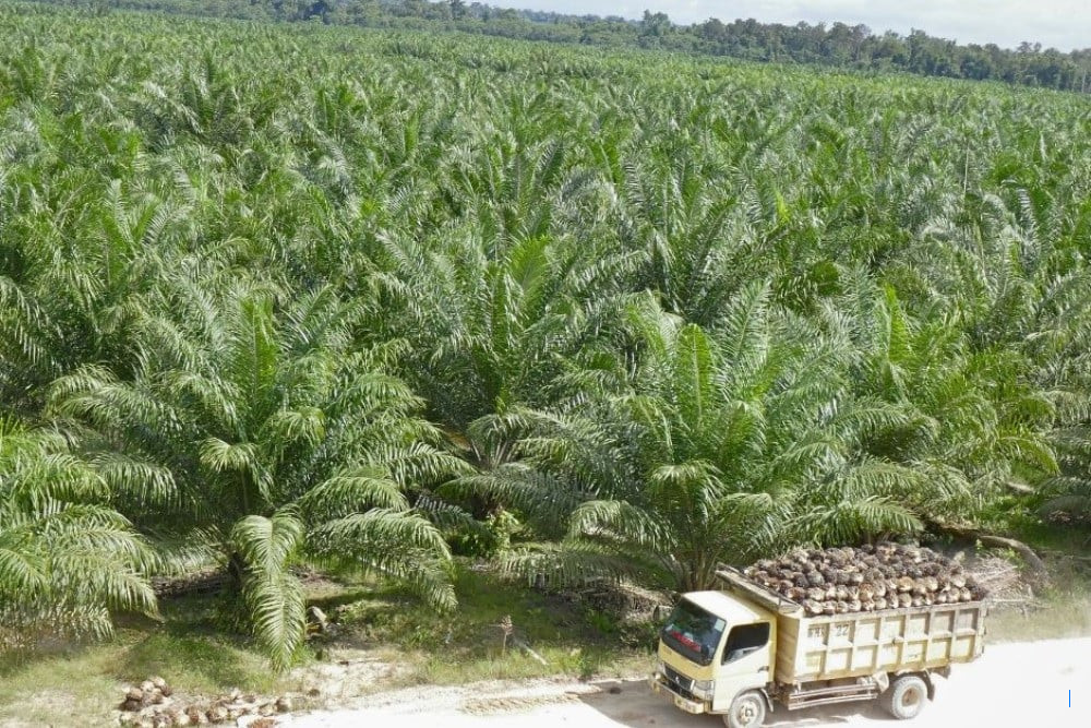 Anjt Lepas Saham 2 Anak Usaha di Papua Senilai Rp405,59 Miliar