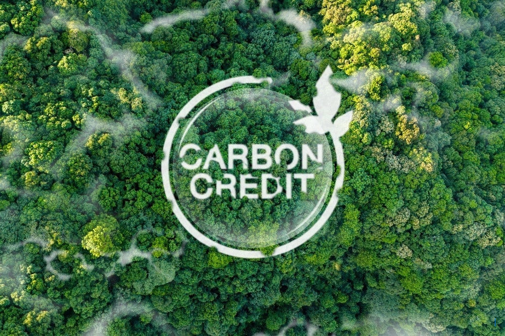 Potensi Perdagangan Kredit Karbon RI Tembus 13,4 Miliar Ton