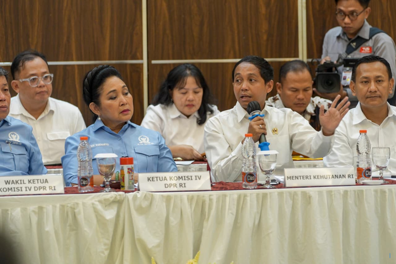 Demi Melestarikan Hutan, Raja Juli Janjikan Pengawasan PPKH Lebih Ketat